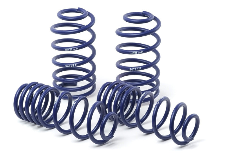 H&R 2022+ Hyundai Ioniq 5/Kia EV6 Sport Spring