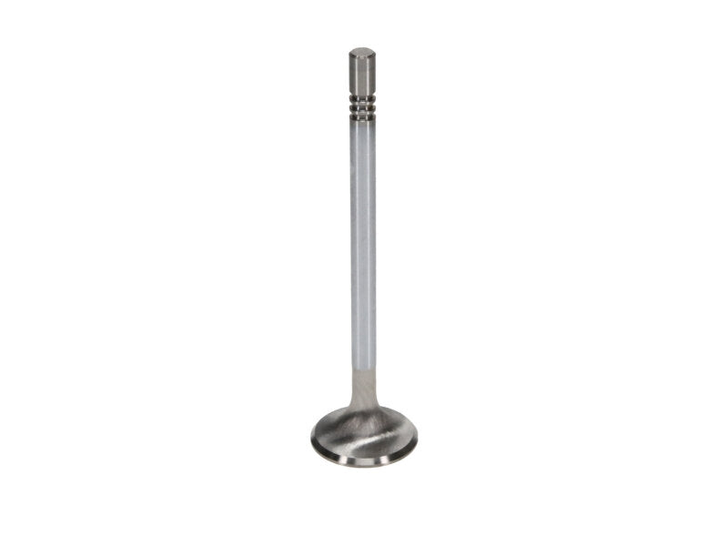 Manley Ford Modular Coyote 5.0L Gen III Race Master Series Exhaust Valve Set - 1.260in Dia